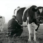 piet Tolsma 1